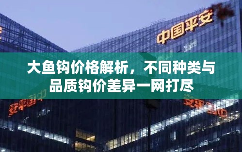 大鱼钩价格解析，不同种类与品质钩价差异一网打尽