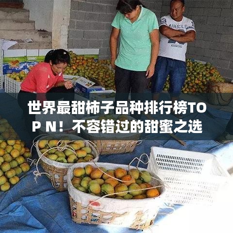 资料中心 第4页
