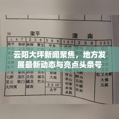 云阳大坪新闻聚焦，地方发展最新动态与亮点头条号