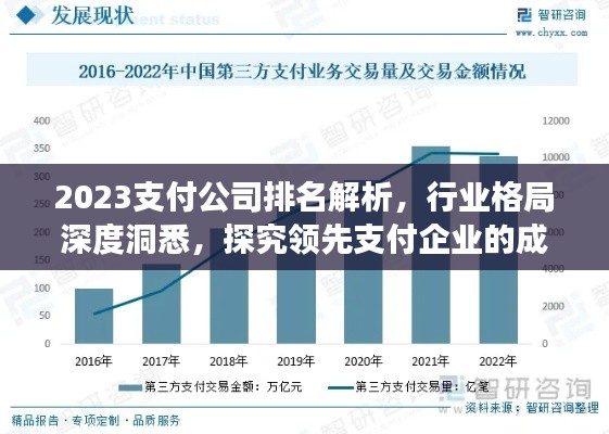 2023支付公司排名解析，行业格局深度洞悉，探究领先支付企业的成功秘诀