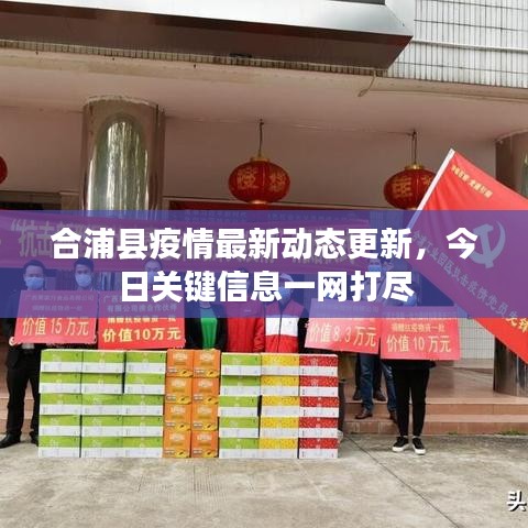 媒体报道