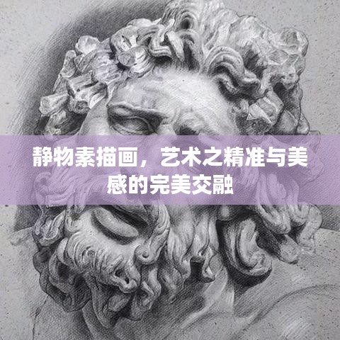 成功案例