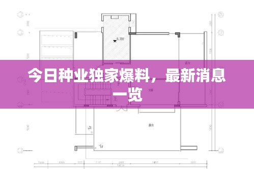 今日种业独家爆料，最新消息一览