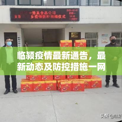 临颍疫情最新通告，最新动态及防控措施一网打尽